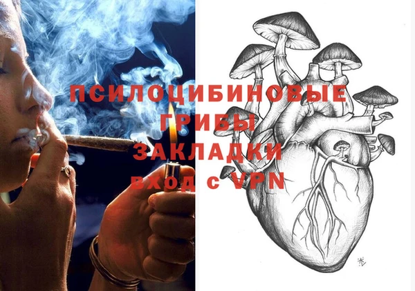 молекула духа Костерёво
