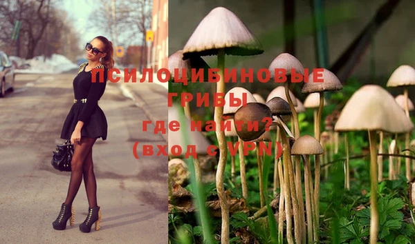 mdpv Кукмор