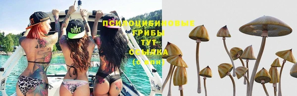 кокаин премиум Краснослободск
